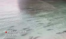 [暑期大PK]对话，擦出了火花_900字