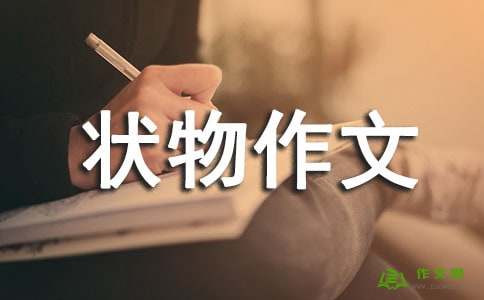醉酒的微风_550字