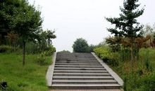 台阶上的我_900字