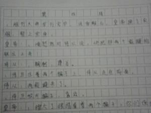 皇帝的新安装，﹞_750字