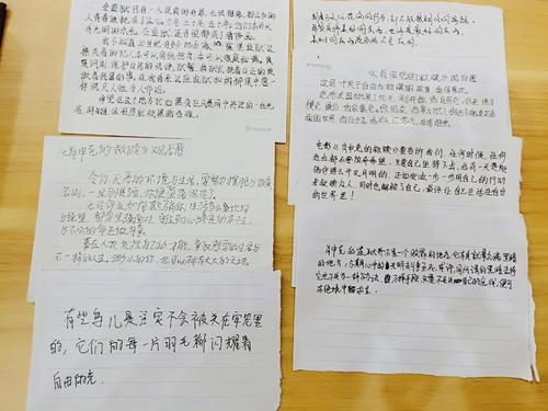 “南京！南京！”查看_550字后