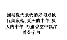 理想好段好句：描写理想的好句好段_600字