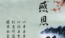 小学生感恩节作文700字：圣洁的感恩_700字