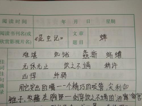 理想情况下，好句子：关于理想的好句子_1000字