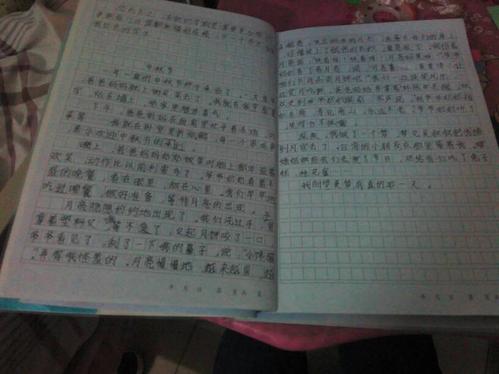 关于中秋节的演艺作品：中秋节月亮_500字