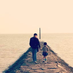 爸爸的回来_1000字