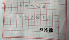 读《心平气和的一年级》后感_1200字