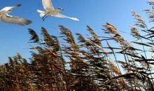 风的方向_1000字