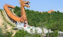 暑假游记——游“中华龙”_250字