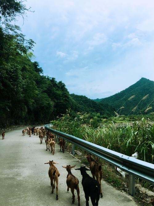 夏天和秋天