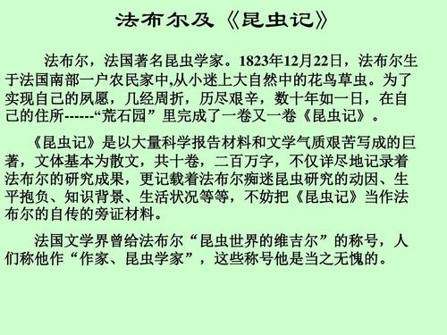 理想情况下，好句子：写下理想的好句子_650字