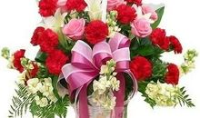 教师节送给老师什么花？