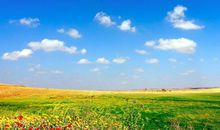 高中半命题作文系列范例赏析：坦然面对荆棘_750字