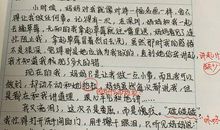 关于愧疚的作文：愧疚_700字