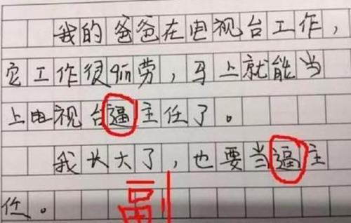 最经典的20名小学生撒谎制作文学句子