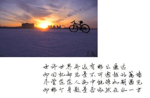 关注的构成：令人担忧_800字