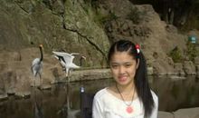 读《不屈的天使》有感——“海迪”式的不屈女孩_450字