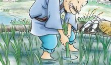 成语故事素材：狗窦大开_300字