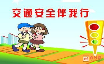 交通安全法_500字