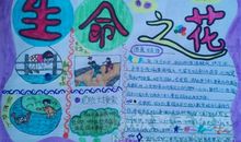 交通安全你我他_650字