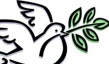 和平鸽的眼泪_900字