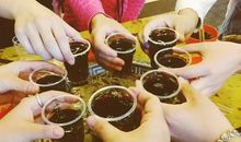 和父亲干杯_1200字