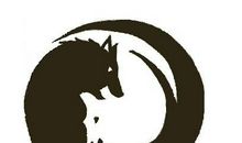 读《狼图腾》有感_600字