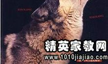 读《狼图腾》有感_900字