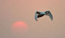 最美的瞬间_700字