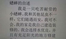 牵挂（2）_600字