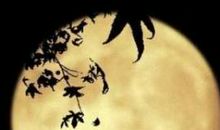 关于中秋节的作文：那心事，纷飞在中秋夜_550字