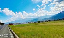 第二双“眼睛”_500字