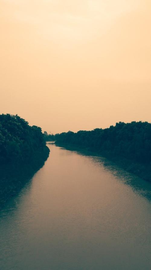 残疾，它也是一个美丽_700字