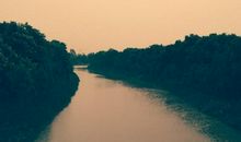 残疾，也是一种美_700字