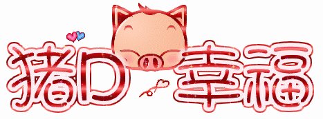 猪和我的故事_350字