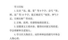 初一议论文：论自由的可贵之处_800字