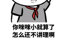 我和“小咪咪”_450字