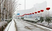 [PK赛]关于雪的作文:白雪的歌_1500字