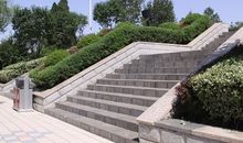 一个人的台阶_650字