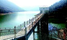 那一刻，我迈上了新台阶_600字