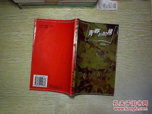 给你一个步骤_700字