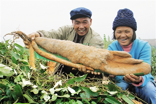 那一刻，我拿了楼梯_450字