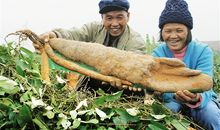 那一刻，我迈上了台阶_450字