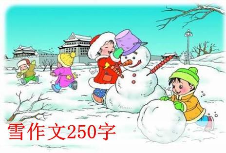 在雪地上的构图：5月雪_250字