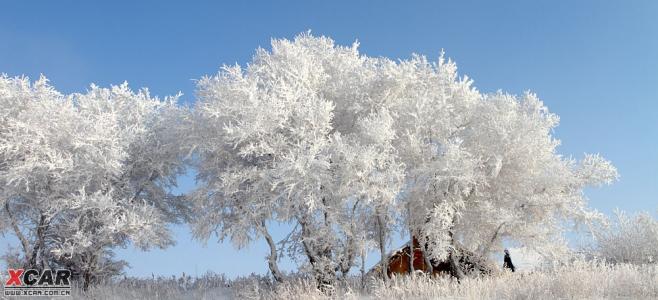 雪上的构图：雪天_1000字