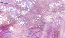 孤烟独归远寂寞照雪天_650字