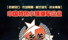 勤劳与懒惰_1000字