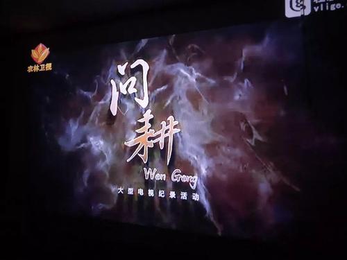 付款和收获_450字