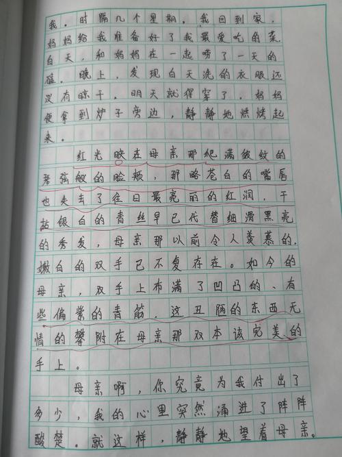 我心中的阳光_650字