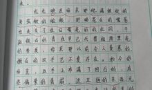 我心中的一道阳光_650字